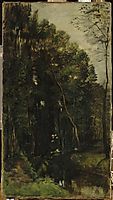 The woods and creek, daubigny