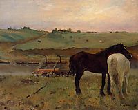 Horses in a Meadow, 1871, degas