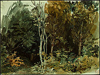 The Edge of a Wood at Nohant, 1843, delacroix