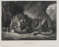 Lion of the Atlas, 1829, delacroix