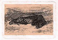 Panther, delacroix