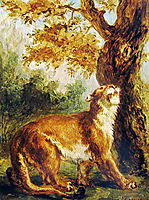 Puma (Lioness watching prey), 1859, delacroix