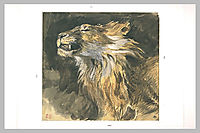 Roaring lion-s head, delacroix
