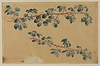 Two branches with leaves, delacroix