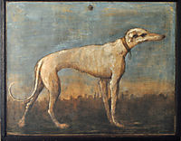 Greyhound, 1793, domenicotiepolo