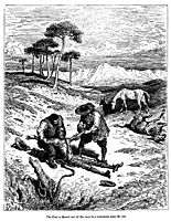 Don Quixote, dore