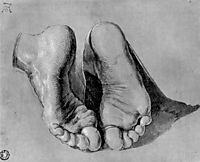 Feet of an apostle, durer