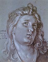 Head of an Angel, 1506, durer