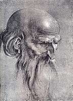 Head Of An Apostle Looking Downward, 1508, durer