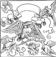 The owl in fight with other birds, durer