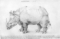 Rhinoceros, durer