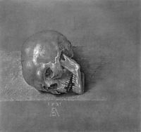 Skull, durer