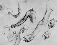Study of male hands and arms, durer