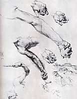 Three Studies From Nature For Adam`s Arms, 1504, durer