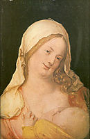 Virgin Suckling the Child, 1503, durer