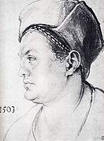 Willibald Pirkheimer, 1503, durer