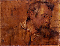 Profile Study Of A Bearded Old Man, 16, dyck