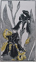 Schwertlilien, 1895, eckmann