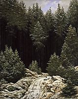 Early snow, friedrich