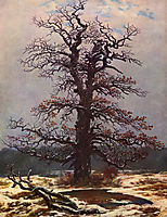 Oak tree in the snow, c.1828, friedrich