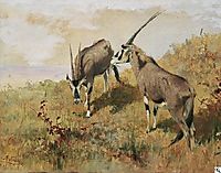 Zwei Antilopen, 1882, friese
