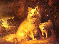 Pomeranian Bitch and Pup, c.1777, gainsborough