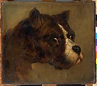 The head of bulldog, gericault
