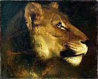 Head of lioness, gericault