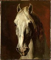 The head of white horse, gericault