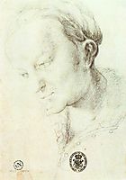 Head of a Young Woman, c.1520, grunewald