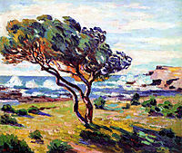 Rafales de vent, Le Brusc, 1911, guillaumin
