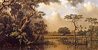 The Great Florida Marsh, 1886, heade