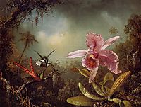 Orchid with Two Hummingbirds, 1871, heade