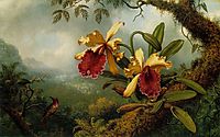 Orchids and Hummingbird, heade