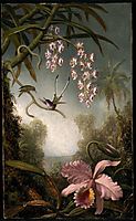 Orchids and Spray Orchids with Hummingbird, 1890, heade