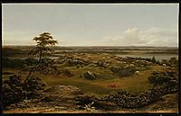 Rocks in New England, 1855, heade
