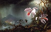 Two Fighting Hummingbirds with Two Orchids, 1875, heade
