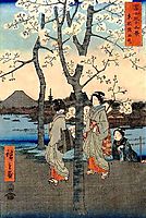 Cherry Tree, hiroshige