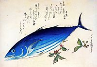 Katsuwonus pelamis, hiroshige