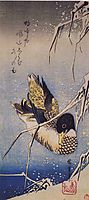Reeds in the Snow with a Wild Duck, hiroshige