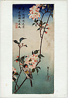 Small Bird on a Branch of Kaidozakura, 1838, hiroshige