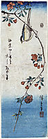 Small Bird on a Branch of Kaidozakura, 1848, hiroshige