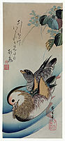 Two Mandarin Ducks , 1838, hiroshige
