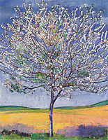 Cherry Tree in Bloom, 1905, hodler