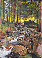 Forest with a mountain stream, 1902, hodler