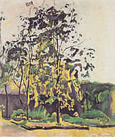 Tree in the workshop garden , 1917, hodler