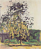 Tree in the workshop garden , 1917, hodler