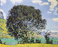 A View of Lake Brienz from Bodeli, hodler