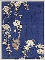 Bullfinch and weeping cherry blossoms, 1834, hokusai