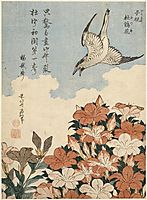 Cuckoo and Azaleas, 1834, hokusai